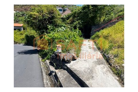 Villa i Ribeira Brava, Madeira, Ribeira Brava - € 165.000 | Ref: SAFTI:008396 - foto 7