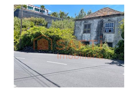 Villa i Ribeira Brava, Madeira, Ribeira Brava - € 165.000 | Ref: SAFTI:008396 - foto 28