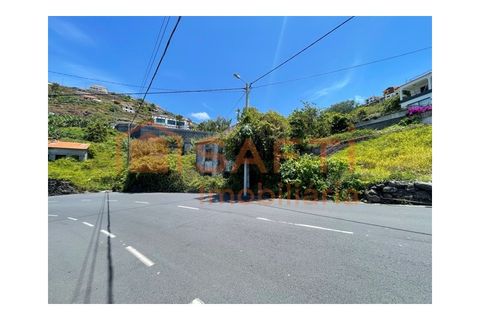 Villa i Ribeira Brava, Madeira, Ribeira Brava - € 165.000 | Ref: SAFTI:008396 - foto 34