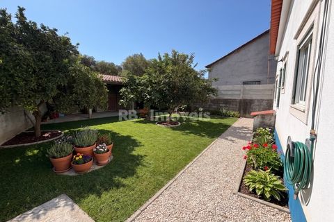 Villa a Chamusca, Santarem, Chamusca - € 230.000 | Ref: 02073-26 - foto 20