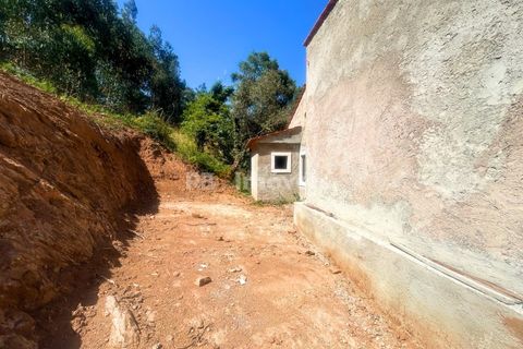 Villa a Alvaiazere, Leiria, Alvaiazere - € 125.000 | Ref: 02055-26 - foto 11