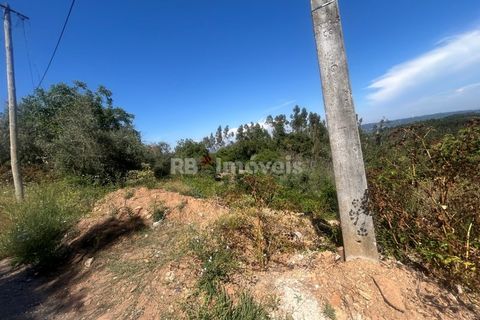 Villa a Alvaiazere, Leiria, Alvaiazere - € 125.000 | Ref: 02055-26 - foto 30