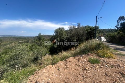 Villa a Alvaiazere, Leiria, Alvaiazere - € 125.000 | Ref: 02055-26 - foto 31