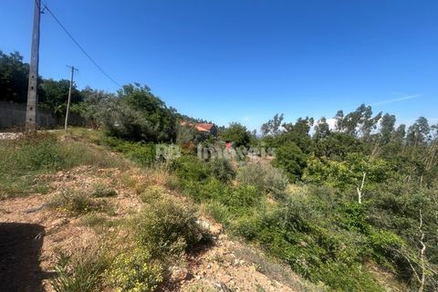 Villa a Alvaiazere, Leiria, Alvaiazere - € 125.000 | Ref: 02055-26 - foto 32