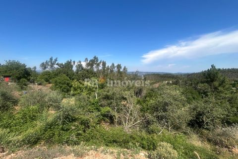 Villa a Alvaiazere, Leiria, Alvaiazere - € 125.000 | Ref: 02055-26 - foto 33