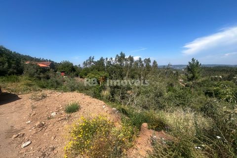 Villa a Alvaiazere, Leiria, Alvaiazere - € 125.000 | Ref: 02055-26 - foto 36