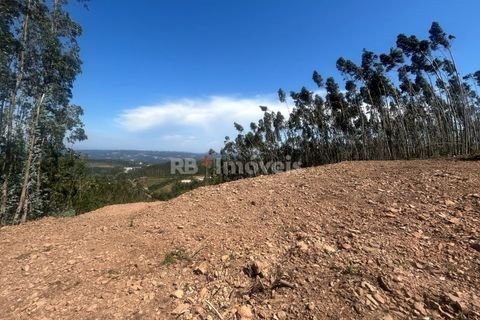 Villa a Alvaiazere, Leiria, Alvaiazere - € 125.000 | Ref: 02055-26 - foto 37