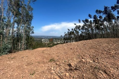 Villa a Alvaiazere, Leiria, Alvaiazere - € 125.000 | Ref: 02055-26 - foto 38