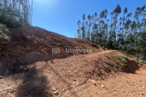 Villa a Alvaiazere, Leiria, Alvaiazere - € 125.000 | Ref: 02055-26 - foto 39