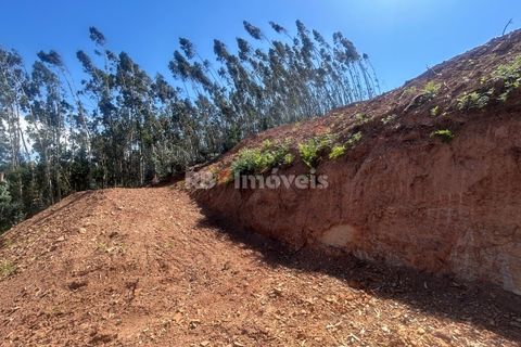 Villa a Alvaiazere, Leiria, Alvaiazere - € 125.000 | Ref: 02055-26 - foto 40