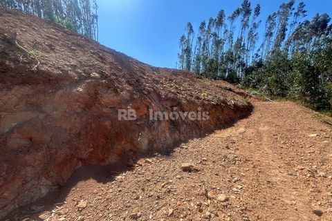 Villa a Alvaiazere, Leiria, Alvaiazere - € 125.000 | Ref: 02055-26 - foto 41