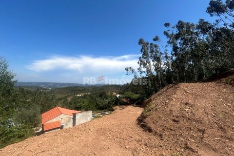 Villa a Alvaiazere, Leiria, Alvaiazere - € 125.000 | Ref: 02055-26 - foto 44