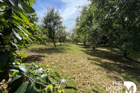 Villa i Val-de-Meuse, Haute-Marne, Val-de-Meuse - € 180.000 | Ref: 8719 - foto 25