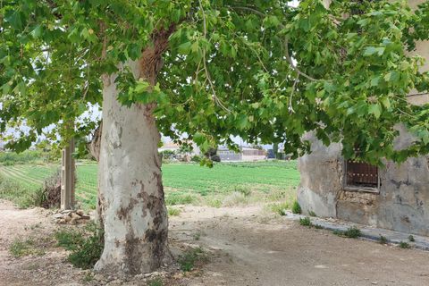 Finca i Dolores, Alicante, Dolores - € 120 000 | Ref: RSJ05 - foto 12