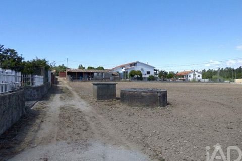 Terra a Leiria, Leiria, Leiria - € 112.000 | Ref: 910574 - foto 6