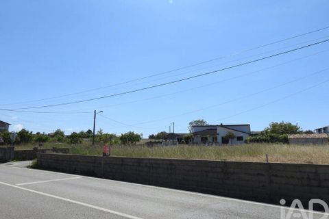 Terra a Leiria, Leiria, Leiria - € 112.000 | Ref: 910574 - foto 15