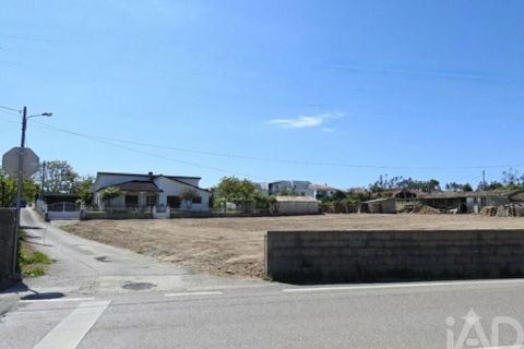 Terra a Leiria, Leiria, Leiria - € 112.000 | Ref: 910574 - foto 16