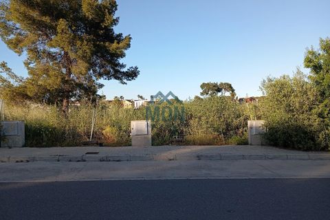Tomt i Rocafort, Valencia, Rocafort - € 269 100 | Ref: 25132 - foto 3