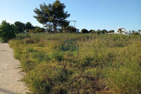 Tomt i Rocafort, Valencia, Rocafort - € 269 100 | Ref: 25132 - foto 10