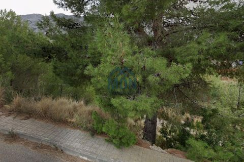 Helårsgrund i Denia, Alicante, Denia - € 2.400.000 | Ref: 24782 - foto 3
