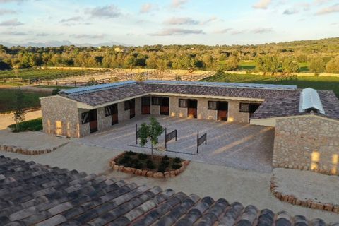 Herregård i Llucmajor, Mallorca, Llucmajor - € 25 000 000 | Ref: 5308 - foto 3
