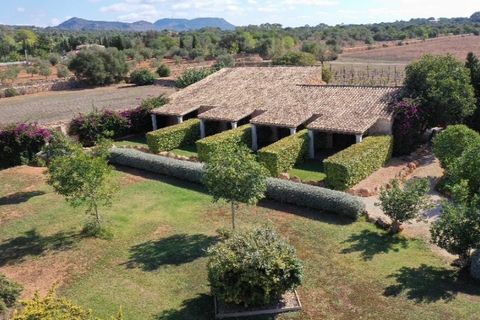 Herregård i Llucmajor, Mallorca, Llucmajor - € 25 000 000 | Ref: 5308 - foto 8