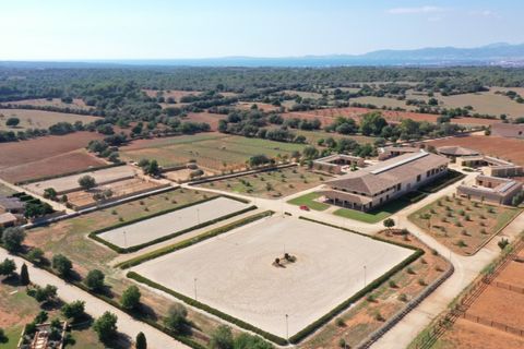 Herregård i Llucmajor, Mallorca, Llucmajor - € 25 000 000 | Ref: 5308 - foto 11