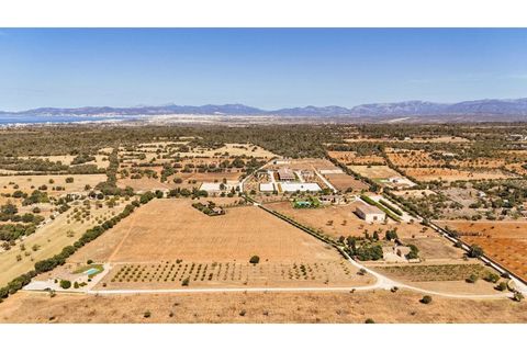 Herregård i Llucmajor, Mallorca, Llucmajor - € 25 000 000 | Ref: 5308 - foto 14