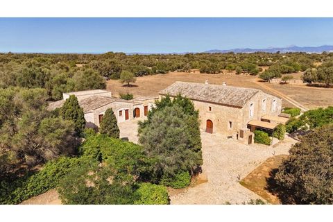 Herregård i Llucmajor, Mallorca, Llucmajor - € 25 000 000 | Ref: 5308 - foto 15