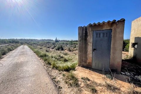 Terra a Montroy, Valencia, Montroy - € 14.900 | Ref: VLC9402 - foto 2