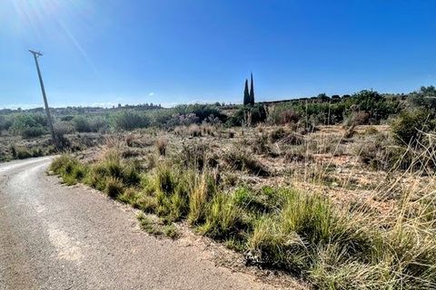 Terra a Montroy, Valencia, Montroy - € 14.900 | Ref: VLC9402 - foto 3