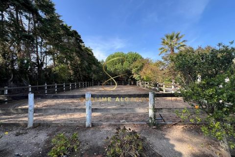 Villa i Carvalhal, Leiria, Carvalhal - € 1.750.000 | Ref: SB - CAS561 - foto 40