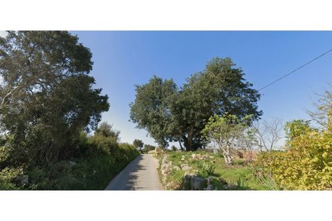 Helårsgrund i Guia, Faro, Guia - € 400.000 | Ref: JG2486 - foto 3