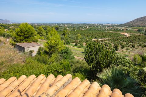Villa i Pedreguer, Alicante, Pedreguer - € 670.000 | Ref: EJV-1530 - foto 29