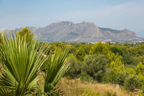 Villa i Pedreguer, Alicante, Pedreguer - € 670.000 | Ref: EJV-1530 - foto 30