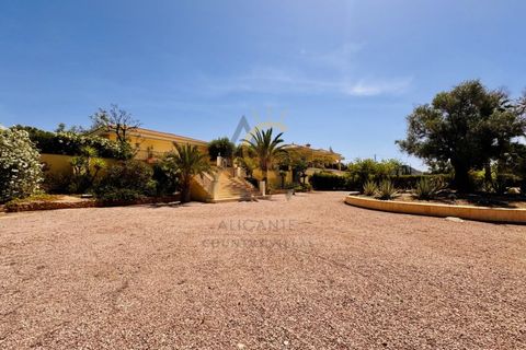Villa i Elche, Alicante, Elche - € 650.000 | Ref: DNV0670 - foto 11