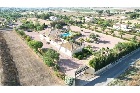 Villa i Elche, Alicante, Elche - € 650.000 | Ref: DNV0670 - foto 20