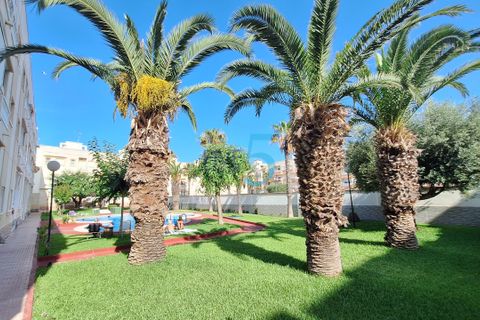 Studio i Torrevieja, Alicante, Torrevieja - € 86.900 | Ref: P9253 - foto 3