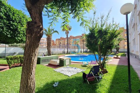 Studio i Torrevieja, Alicante, Torrevieja - € 86.900 | Ref: P9253 - foto 19