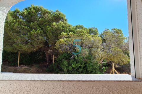 Byhus i Playa Flamenca, Alicante, Playa Flamenca - € 249.000 | Ref: P9259 - foto 25