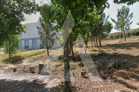 Helårsgrund i Viseu, Viseu, Viseu - € 44.300 | Ref: 1180656/26VS -G - foto 6