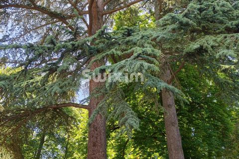 Landejendom i Beaune, Cote-d'Or, Beaune - € 1.490.000 | Ref: 70841PP - foto 2