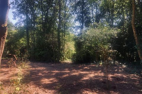 Tomt i Saint-Georges-de-Pointindoux, Vendee, Saint-Georges-de-Pointindoux - € 167 680 | Ref: 17_VCI-0026544 - foto 2