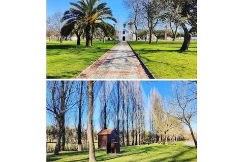 Villa i Vagos, Aveiro, Vagos - € 370.000 | Ref: 1031026/26BL - foto 41