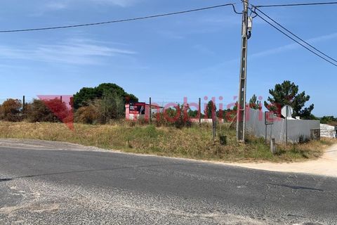 Tomt i Azambuja, Lisbon, Azambuja - € 520/månad | Ref: 197003013 - foto 7