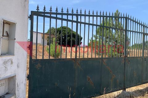 Tomt i Azambuja, Lisbon, Azambuja - € 520/månad | Ref: 197003013 - foto 9