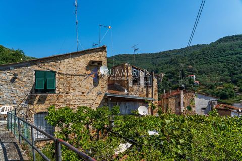 Villa i Imperia, Imperia, Imperia - € 110.000 | Ref: 14237 - foto 4