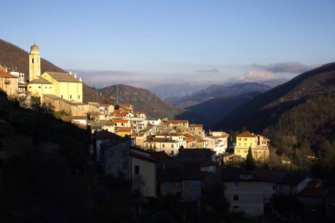 Landejendom i Rezzo, Imperia, Rezzo - € 185.000 | Ref: 1057 - foto 27