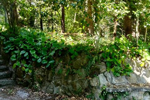 Villa i Sanremo, Imperia, Sanremo - € 225.000 | Ref: 001-ind-005 - foto 4
