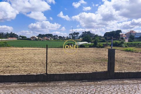 Tomt i Barcelos, Braga, Barcelos - € 124 000 | Ref: ONE81735-17 - foto 10
